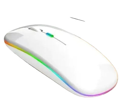 Wireless Mouse Rechargeable