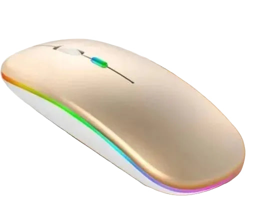 Wireless Mouse Rechargeable